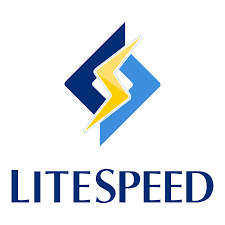 LiteSpeed Nedir? LiteSpeed’in Avantajları Nelerdir?