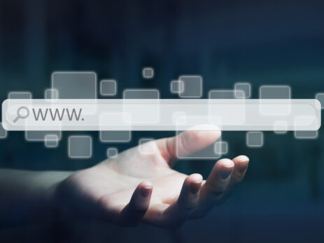 Domain Whois Nedir?